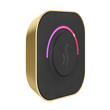 Mr. Steam TempoTouch Control Package