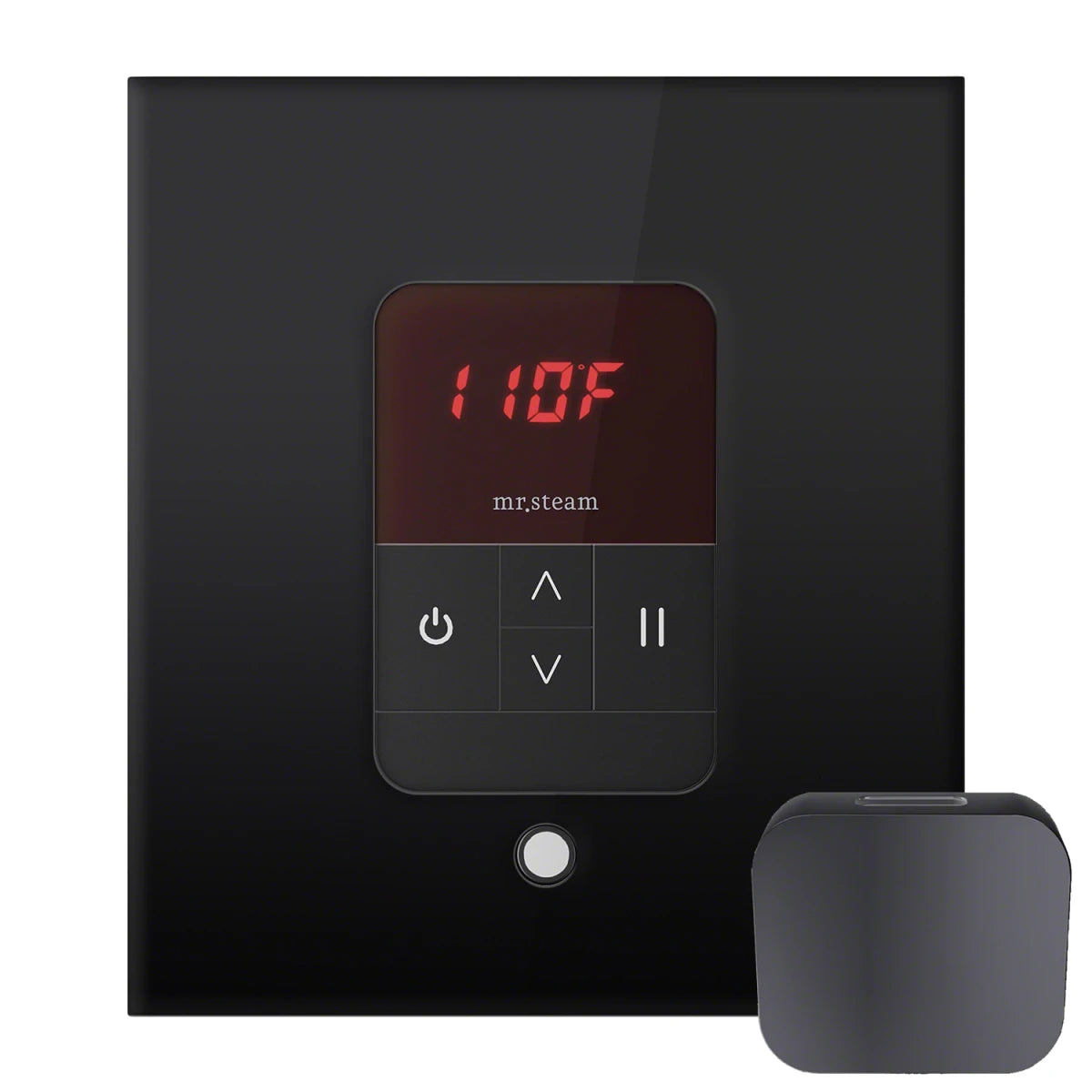 Mr. Steam iTempo Square Control Package - Serene Steam & Sauna